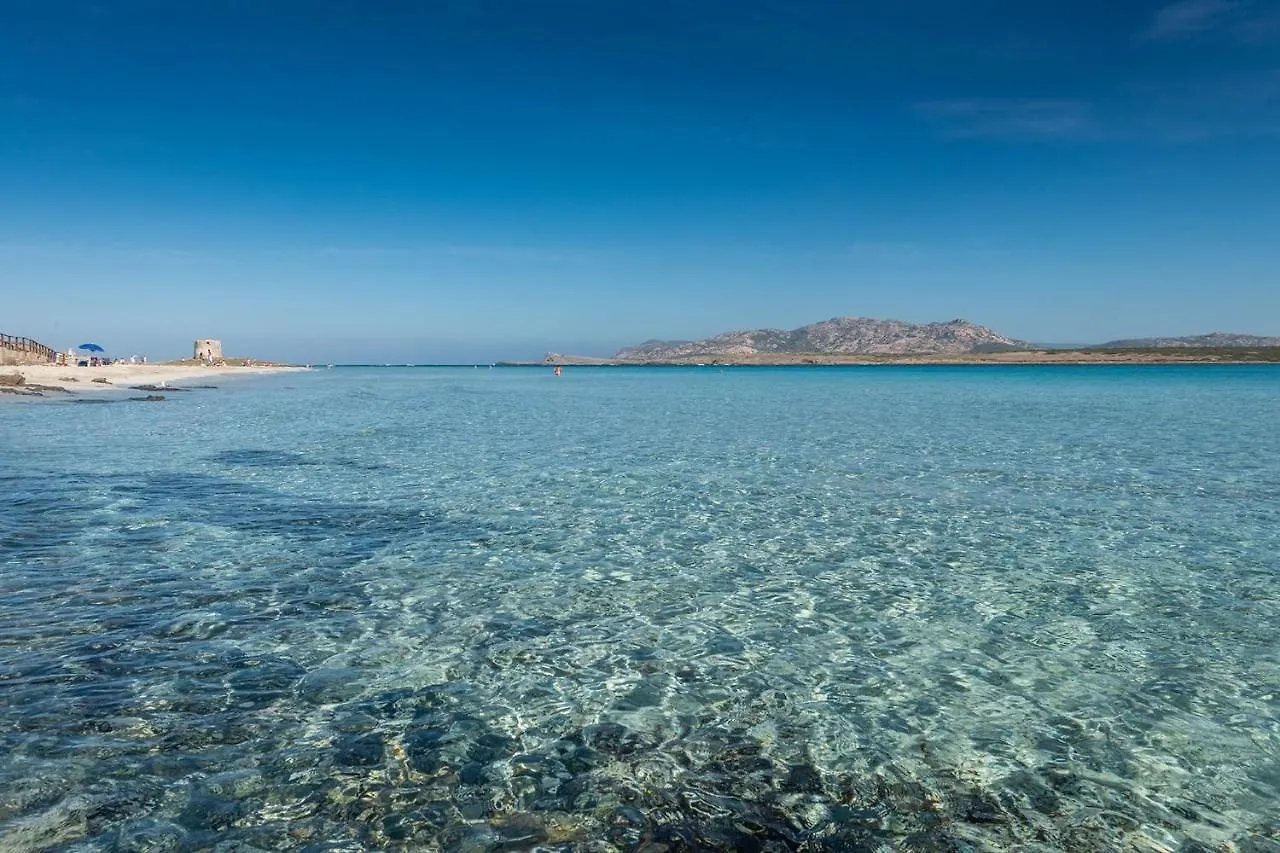 Apartment Stintino/Insel Sardinien 35763